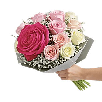 Pastel Pink Roses