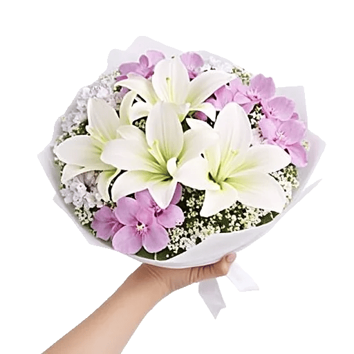 Minimalist White Orchids