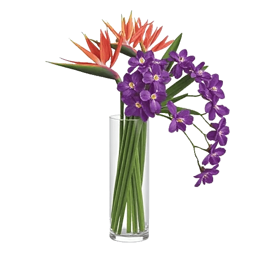 Orchid Bloom Cascade