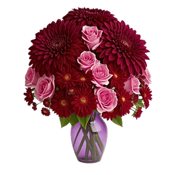 Crimson Blossom Harmony