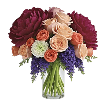 Petal Radiance Bliss