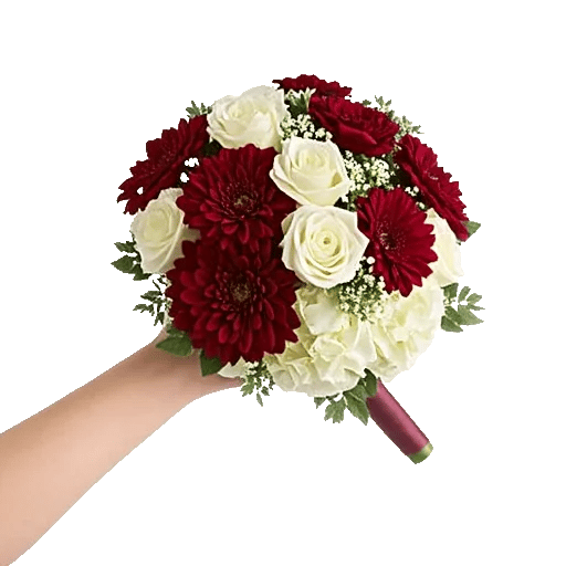 Blushing Rose Symphony