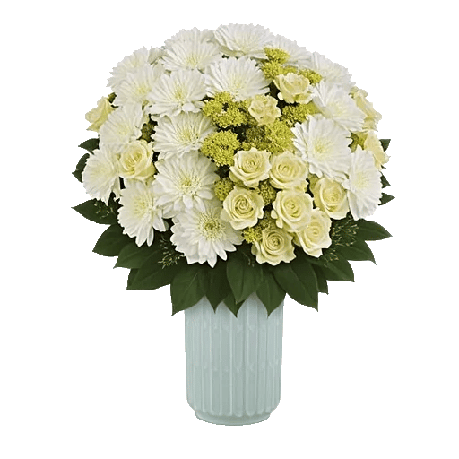 Ivory Blossom Radiance