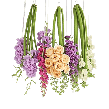 Delicate Petal Cascade