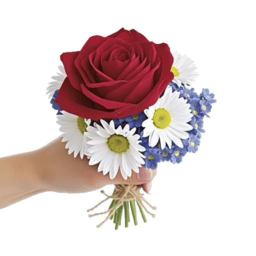 Crimson Rose Elegance