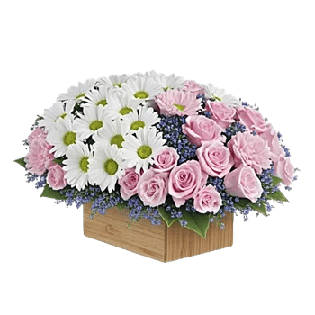 Petal Harmony Bliss