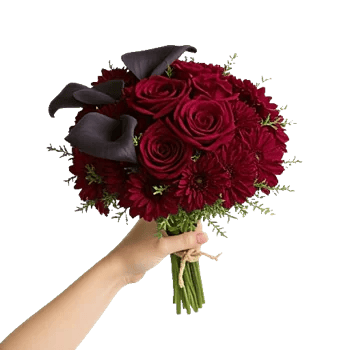 Deep Red Foliage