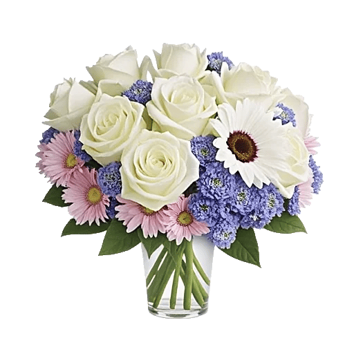 Ivory Blossom Radiance