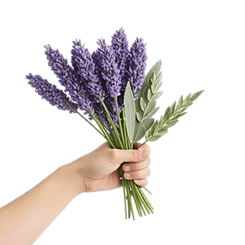 Lavender Bloom Grace
