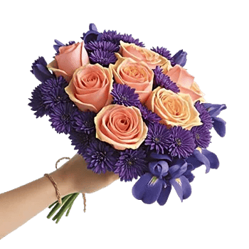 Petal Grace Harmony
