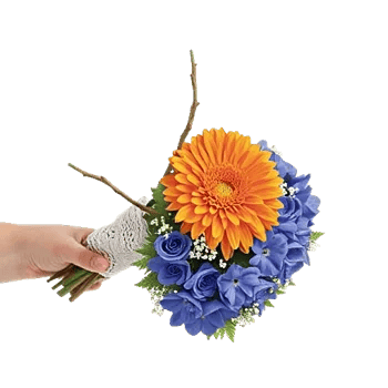 Blossom Petal Serenity