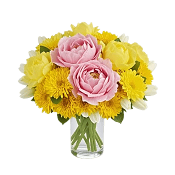 Petal Radiance Bliss