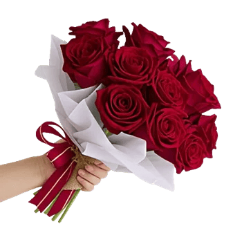 Crimson Rose Elegance