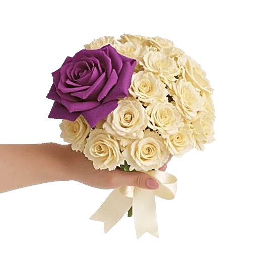 Pastel Pink Roses