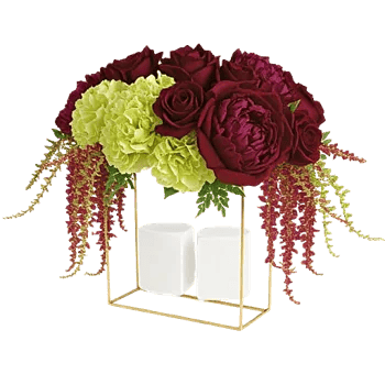 Petal Radiance Bliss