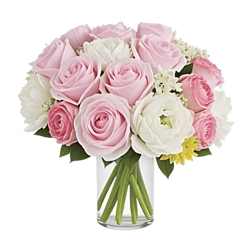 Petal Radiance Bliss