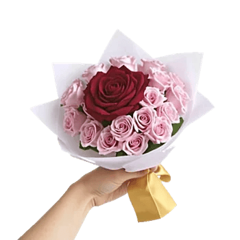 Crimson Rose Elegance