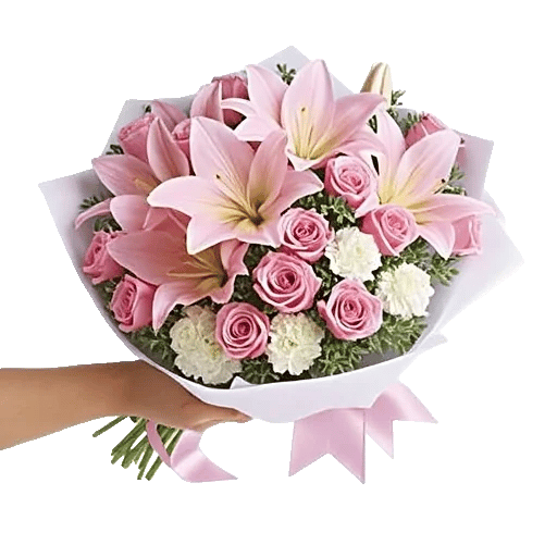 Blushing Rose Symphony