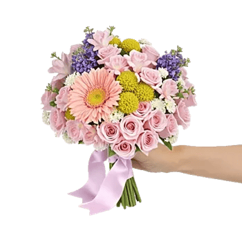 Petal Softness Display