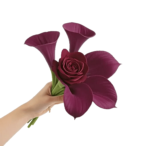 Elegant Calla Lilies