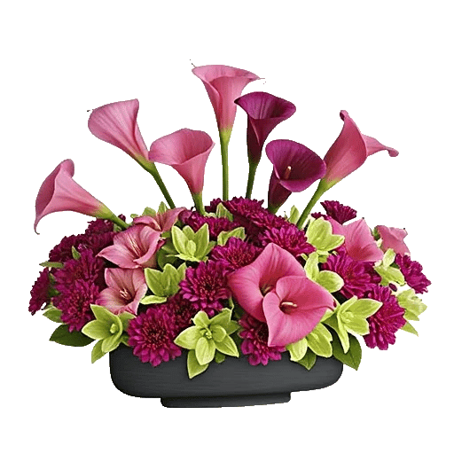 Elegant Calla Lilies