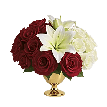 Crimson Rose Elegance