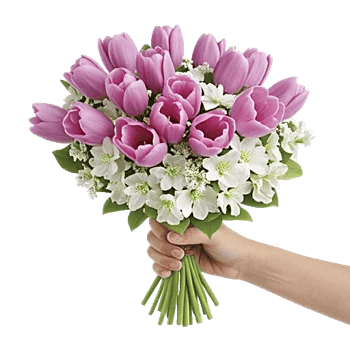 Velvet Tulip Display