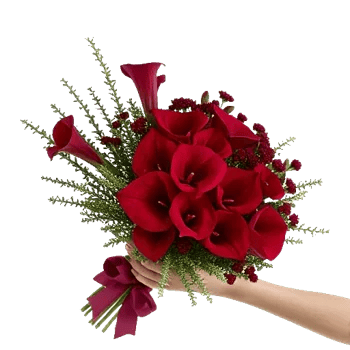 Elegant Calla Lilies