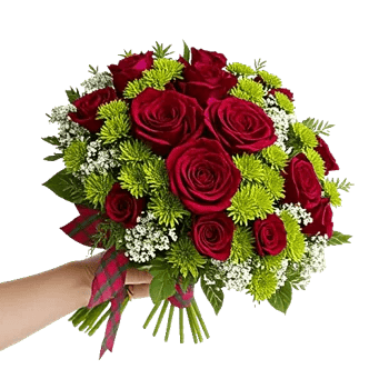 Crimson Rose Elegance