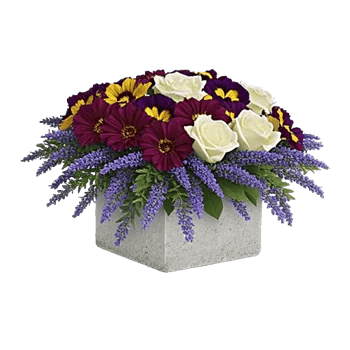 Petal Radiance Bliss