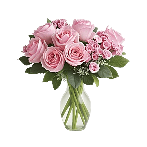 Blushing Rose Symphony