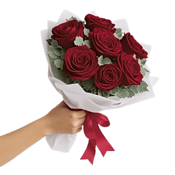 Crimson Rose Elegance