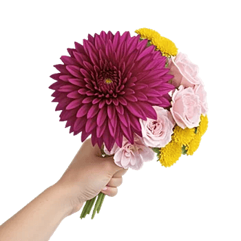 Radiant Bloom Cascade