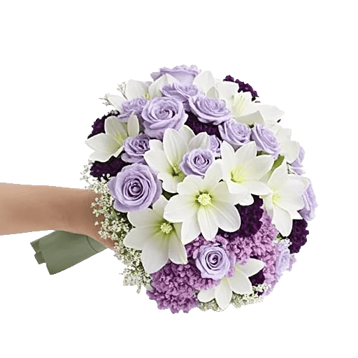 Blossom Petal Serenity