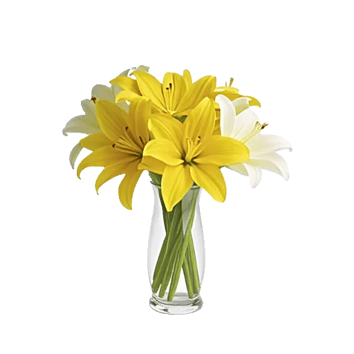 Graceful Lily Display