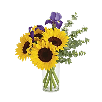 Ivory Blossom Radiance