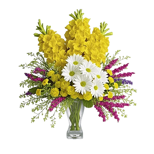 Petal Radiance Bliss