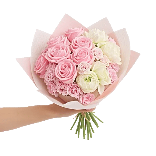 Pastel Pink Roses