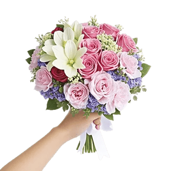 Petal Grace Harmony