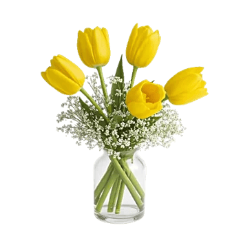 Blossom Harmony Display