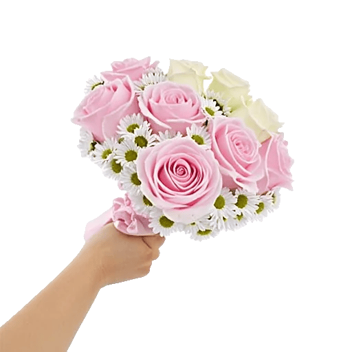Pastel Pink Roses