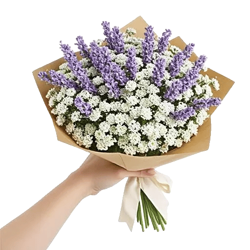 Blossom Radiant Whisper