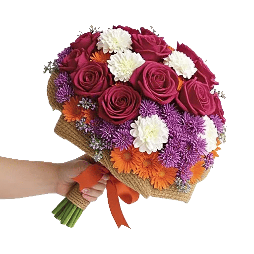 Blushing Rose Symphony