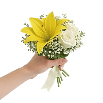 Blossom Harmony Display