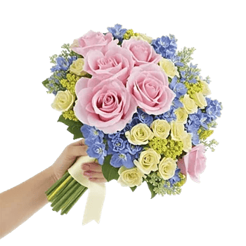 Blossom Petal Serenity