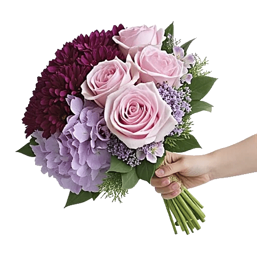 Blushing Rose Symphony