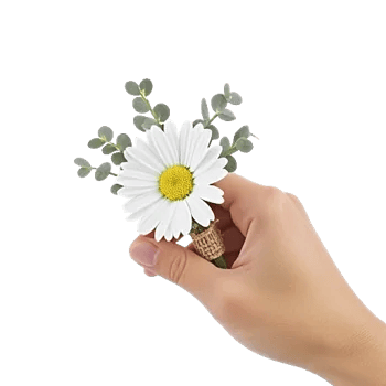 Minimalist White Orchids