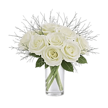 Ivory Blossom Radiance