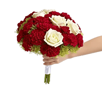 Delicate Petal Cascade