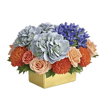 Sapphire Bloom Whisper